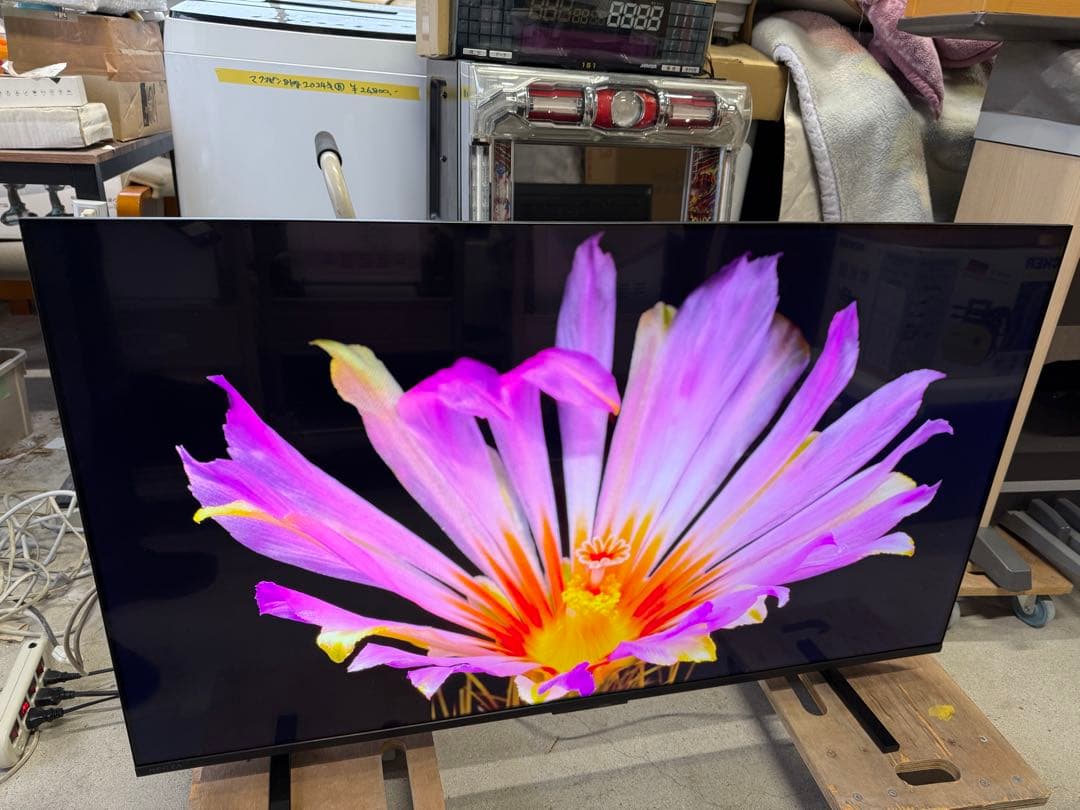 TVS REGZA 4K50インチ 50M550R SmartTV 2025年