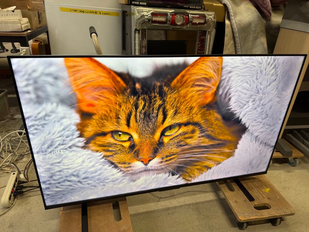 TVS REGZA 4K50インチ 50M550R SmartTV 2025年