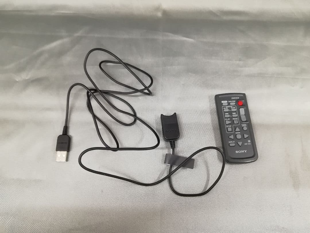NO.198 SONY ビデオカメラ HDR-PJ40V アクセサリー付き