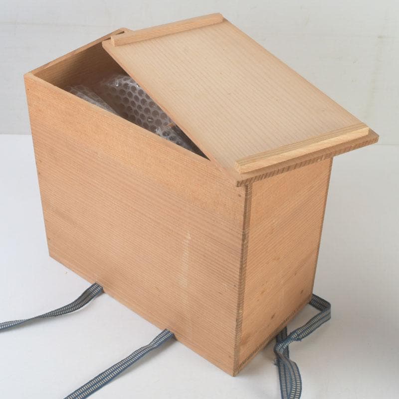 茶道具　安南染付　蜻蛉文　数茶碗　十客　時代箱　V　9973A