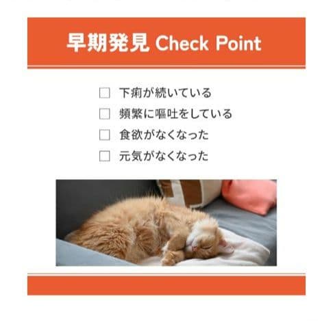 VetsWell【消化器ケア】キャットフード 猫用食事療法食２kg ×２袋