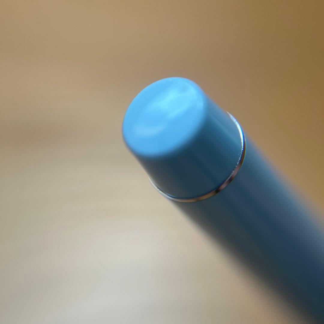 限定　ナガサワ文具センター　チャスカブルーシルバー　エラボー　万年筆 軟中字