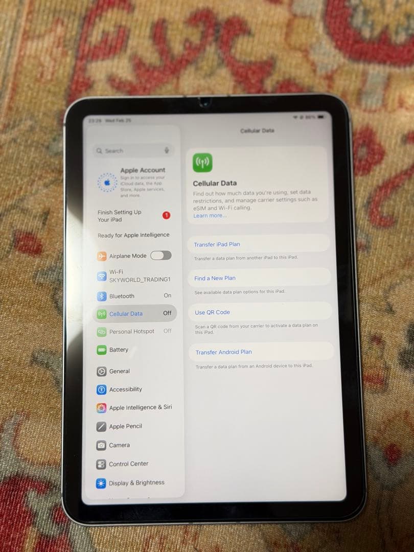 iPad本体 ipad mini A(17pro) wi-fi+cellular 256GB