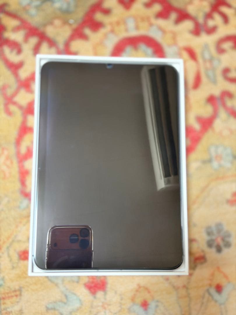 iPad本体 ipad mini A(17pro) wi-fi+cellular 256GB