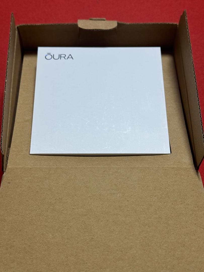 Oura Ring Gen3 ブラック US10 美品　付属品完備　即日発送！
