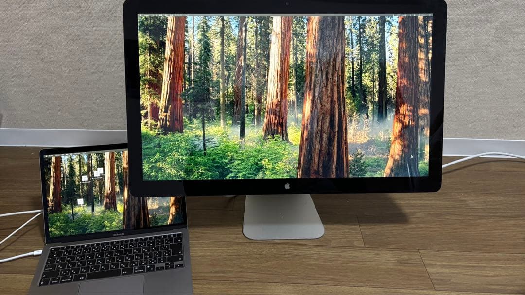 Apple thunderbolt display 変換ケーブル付き