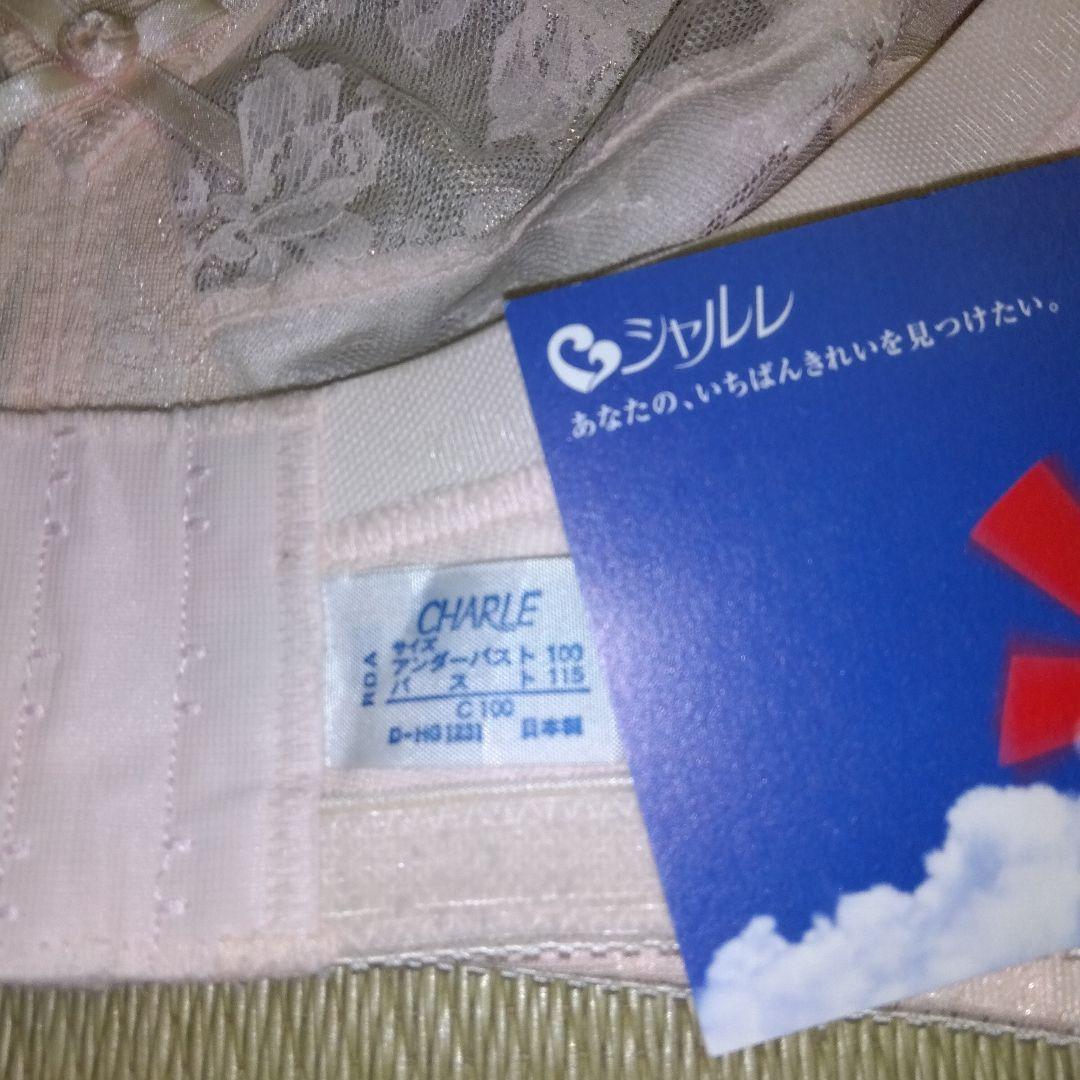 ブラジャー、１００