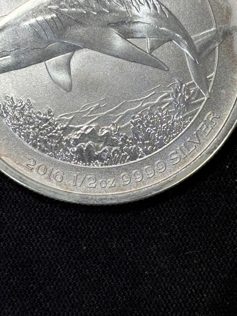 【純銀製】1/2オンス純銀銀貨！実重量15.9g以上！Sv9999！ケース付き！