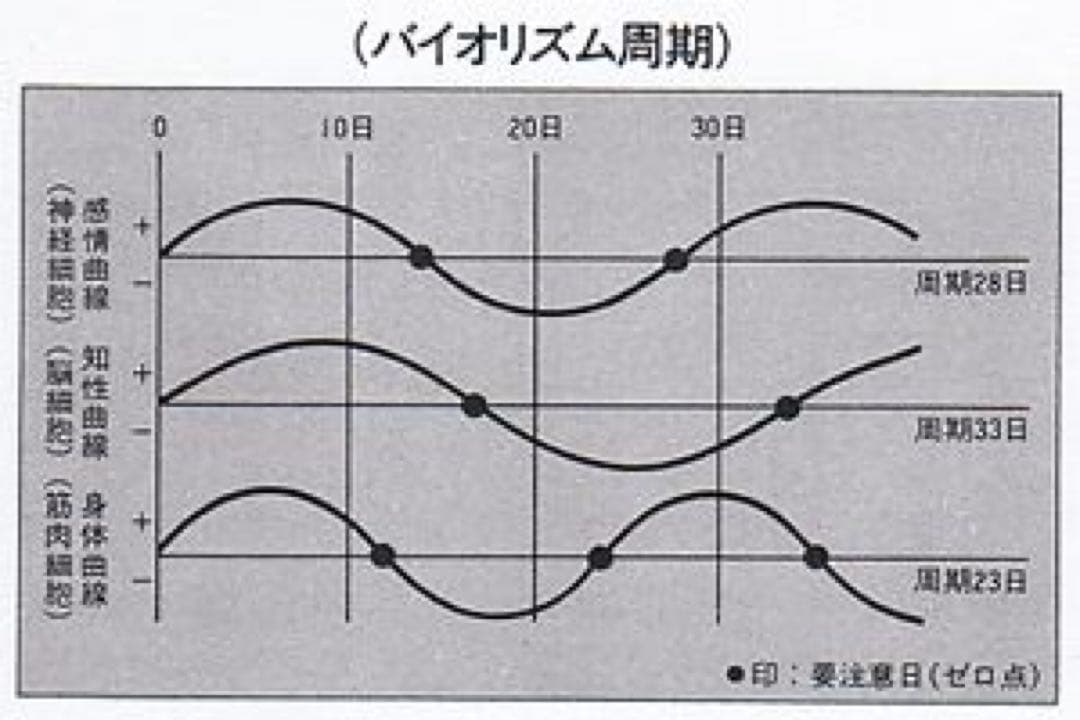 【限定残り1個！】政木式バイオリズム計　赤　　政木和三　占い　運勢　産み分け