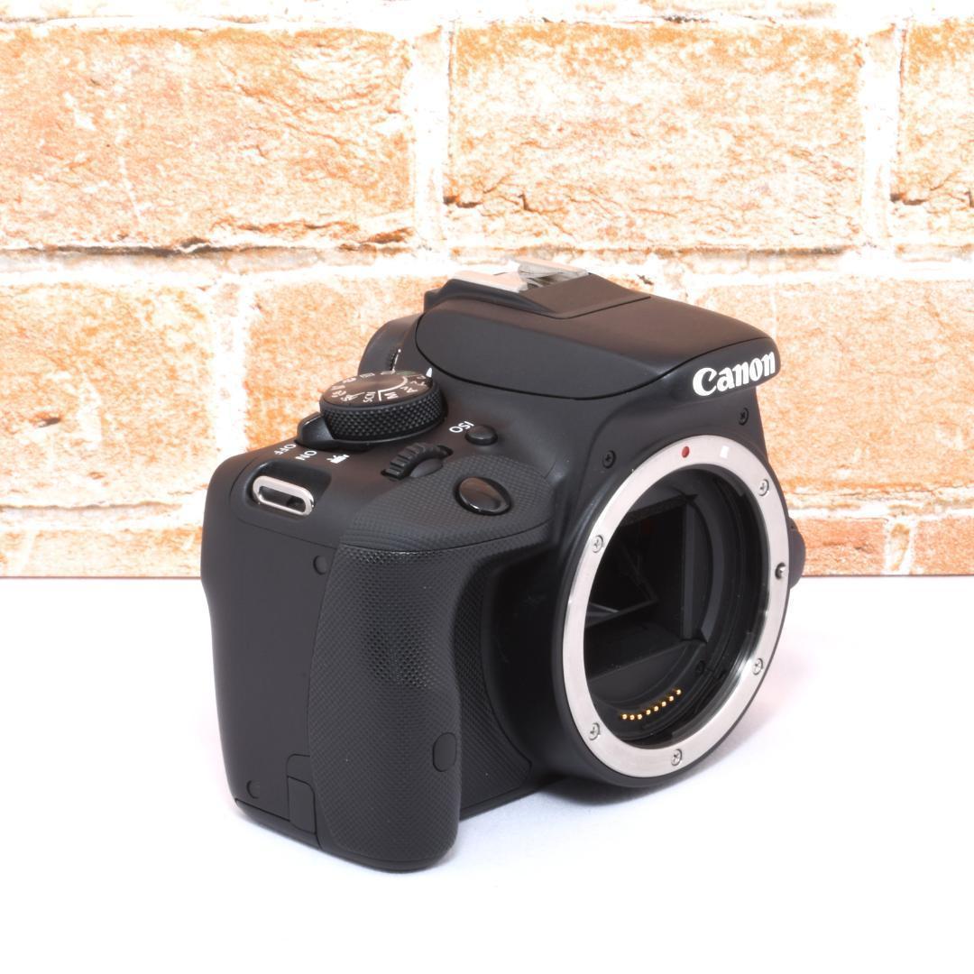 超小型軽量✨Canon kiss X7✨ダブルレンズセット✨超望遠レンズ