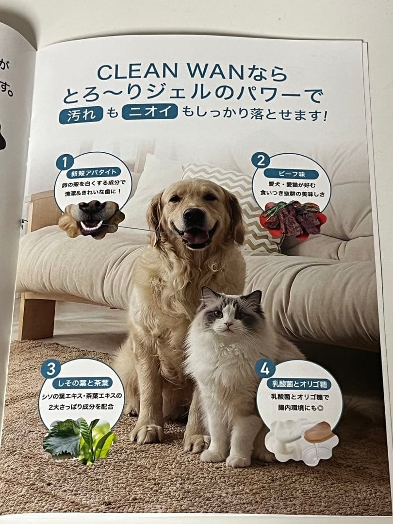 CLEAN WAN 犬・猫用口腔ジェル 3本＆歯ブラシ＆スタートブックセット