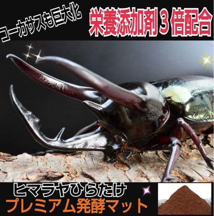 【2ケースセット】20Lボックス☆プレミアム発酵マット入り☆幼虫を入れるだけ！
