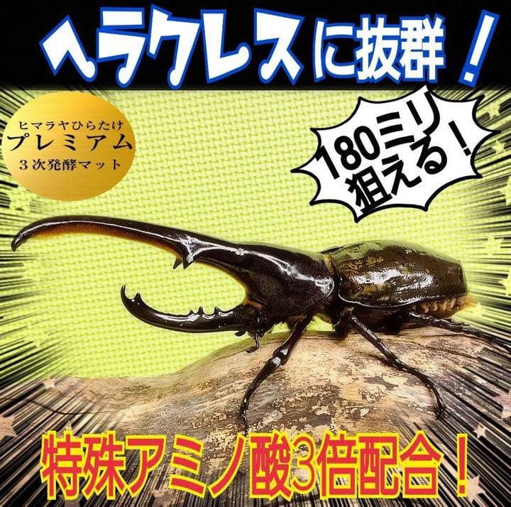 【2ケースセット】20Lボックス☆プレミアム発酵マット入り☆幼虫を入れるだけ！