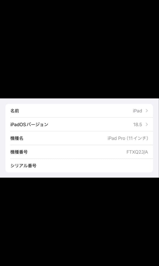 iPad Pro 11インチ (第1世代) 256GB