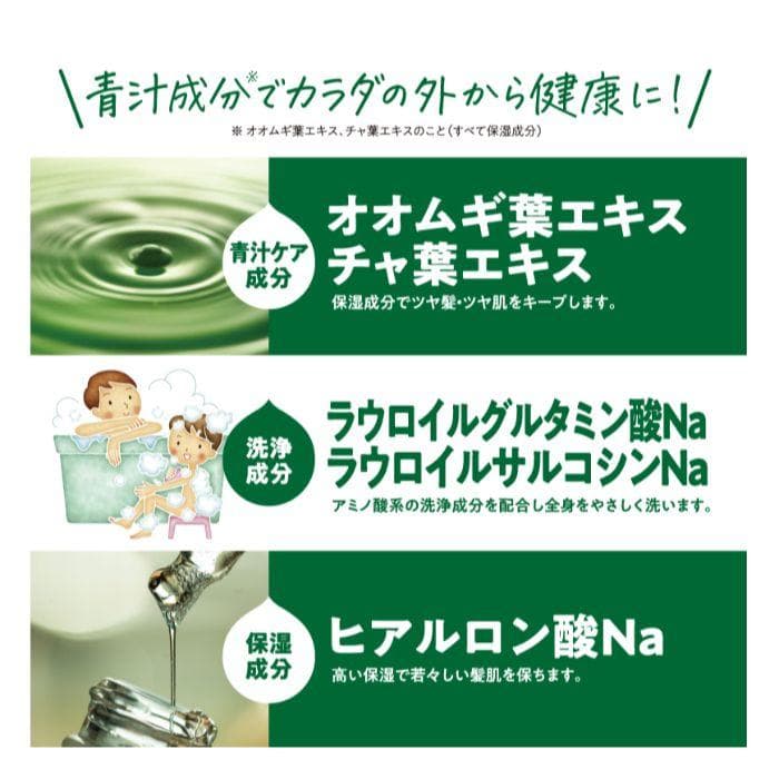 青汁 全身シャンプー 1000ml 3in1　×　１０本