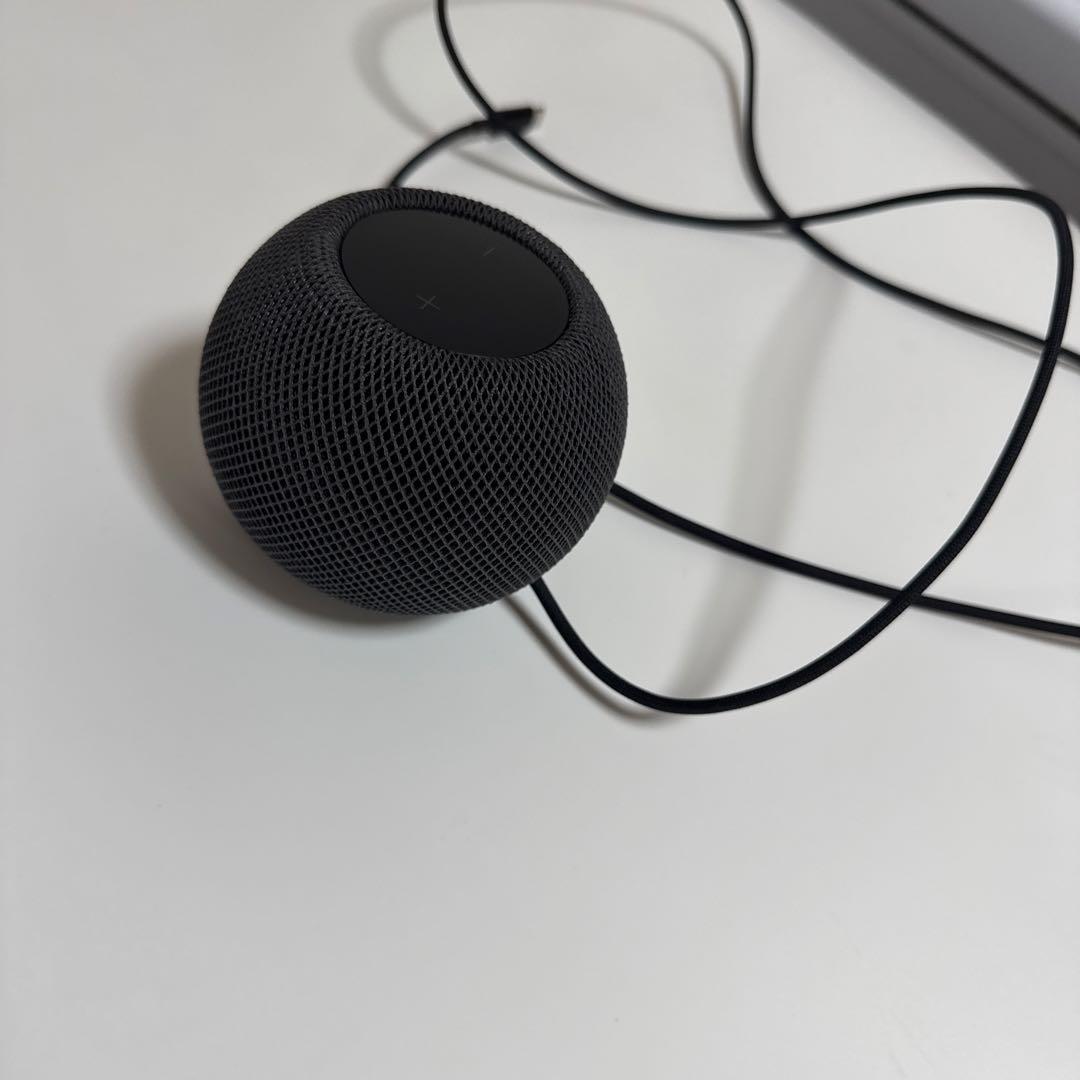 初期化済　Apple Pod mini ブラック　アップル