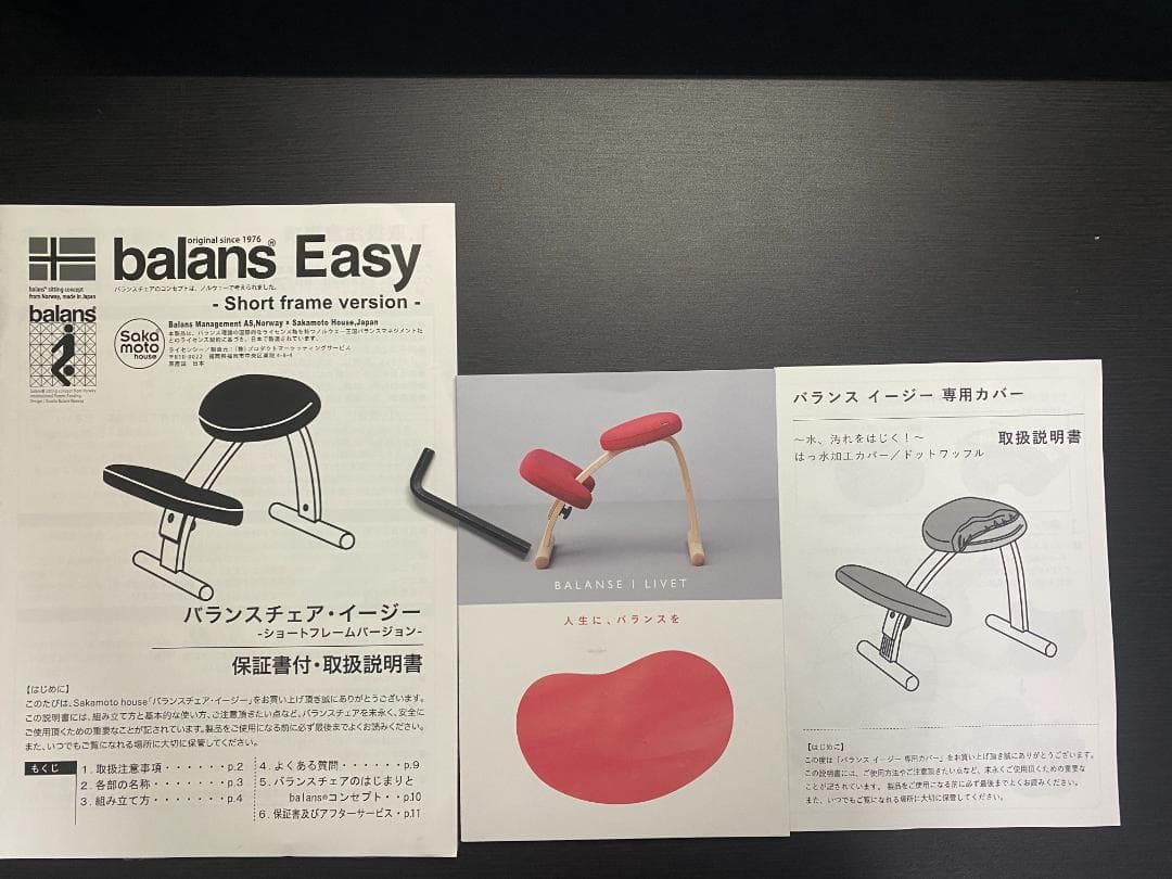 【balans Easy】 ショートフレーム（専用カバー付き*黒*）