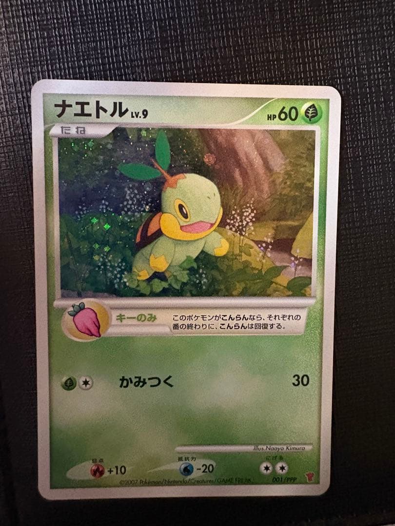 ヒコザル　ナエトル　ポッチャマ　プロモ