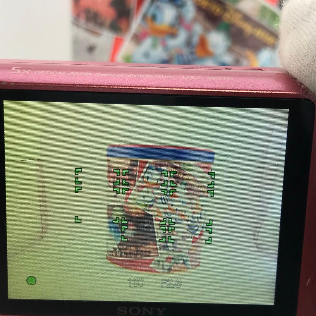 実写良⭕️訳有り【動作確認済】SONY CyberShot DSC-W570