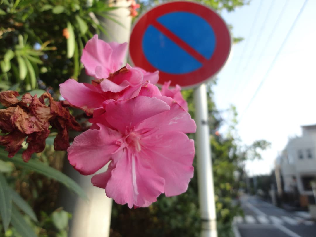 実写良⭕️訳有り【動作確認済】SONY CyberShot DSC-W570